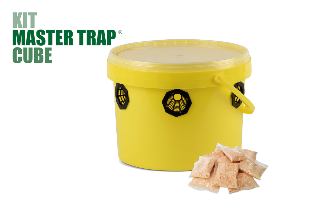KIT MASTER TRAP FLIES CUBE